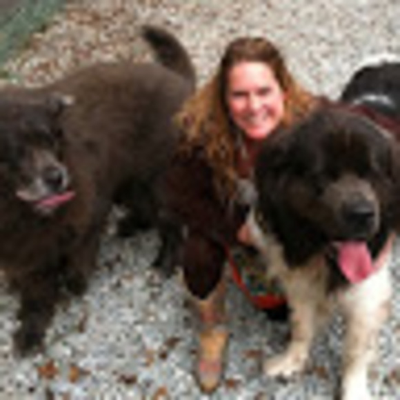 Meet your Posher, Susan - Picture 1 of 1